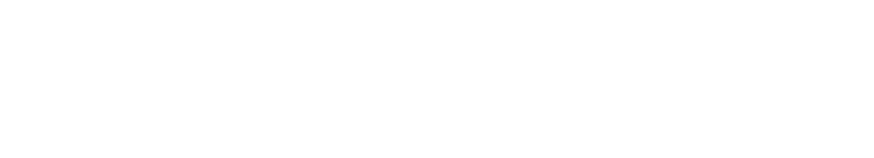 Partner Logo 2