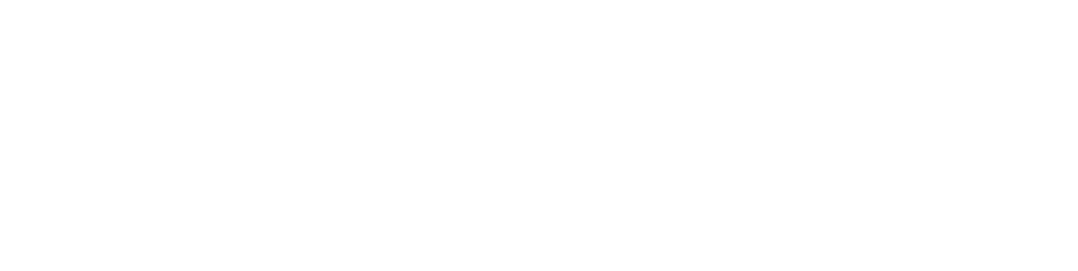 Partner Logo 3